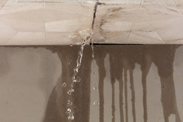 Professional Burst Pipe Cleanup technician working in Henryville, IN